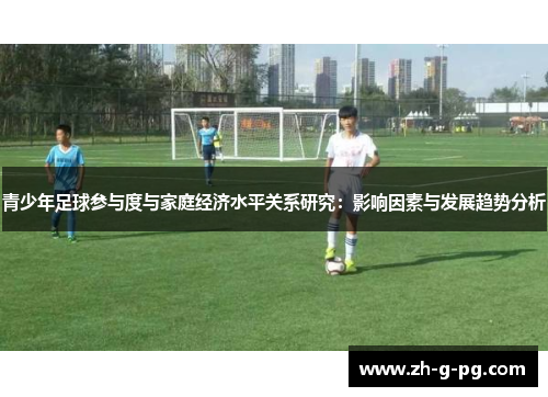 青少年足球参与度与家庭经济水平关系研究：影响因素与发展趋势分析
