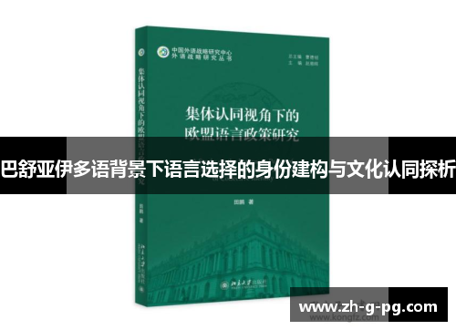 巴舒亚伊多语背景下语言选择的身份建构与文化认同探析