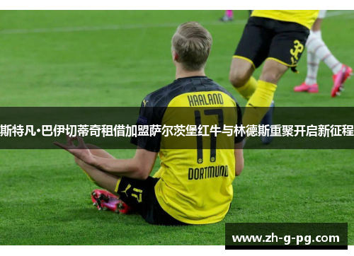 斯特凡·巴伊切蒂奇租借加盟萨尔茨堡红牛与林德斯重聚开启新征程