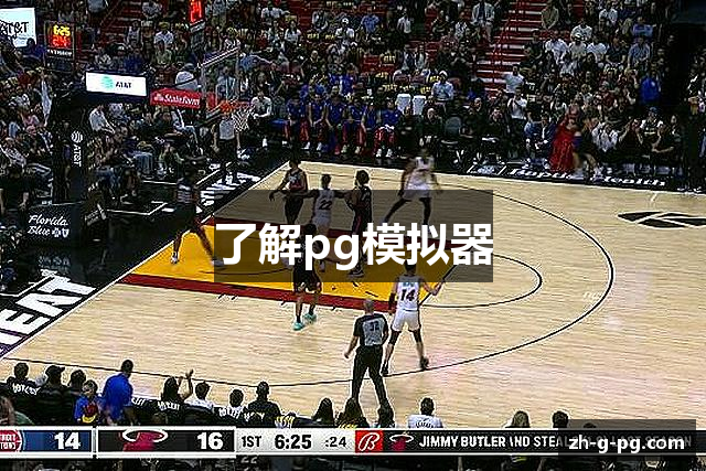 了解pg模拟器